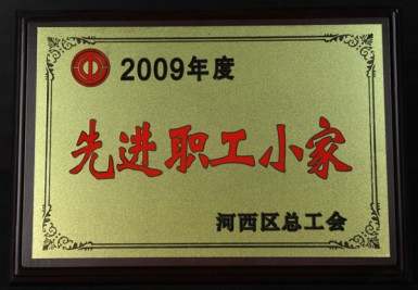 2009年度 先进职工小家奖牌